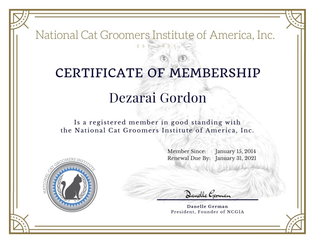 cat-groomers-institute-of-america-dezarai | Purrocious Styles Cat ...